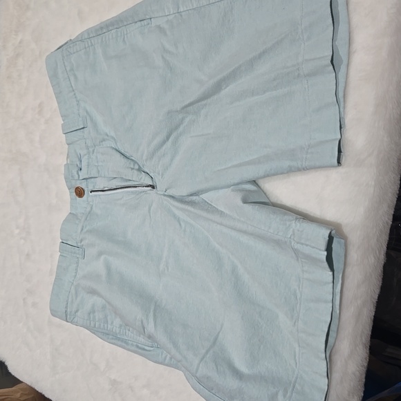 J. Crew light teal blue men's shorts 100% cotton. Size 31 - Picture 4 of 8